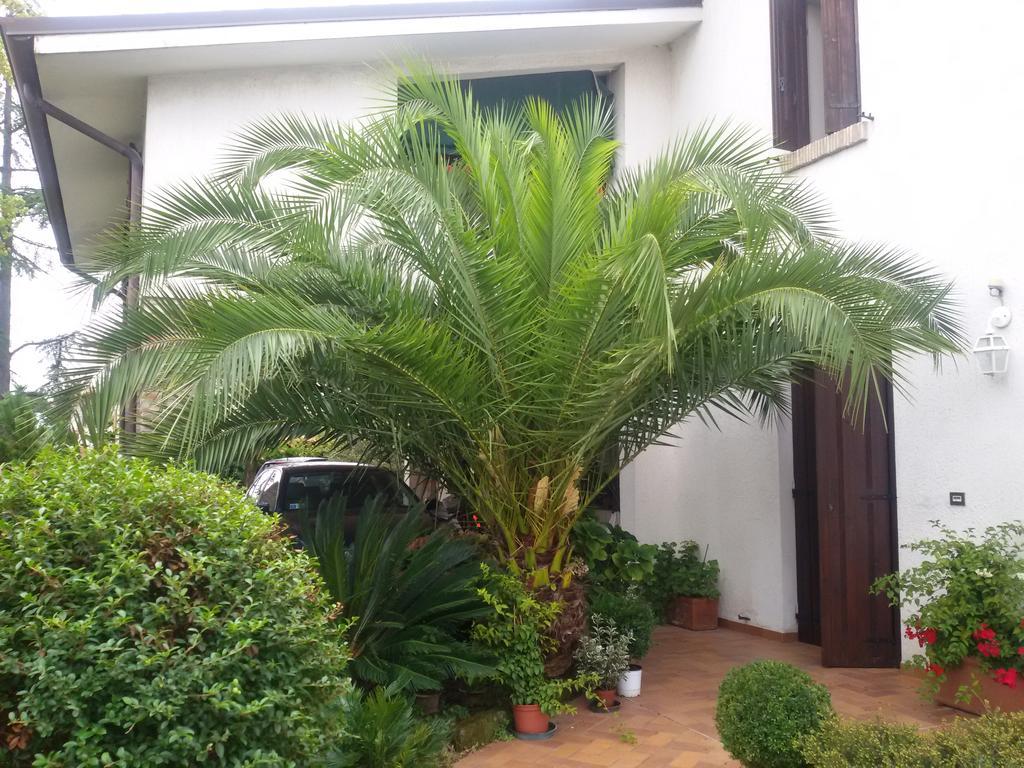 B&B La Cascina Concordia Sagittaria Экстерьер фото