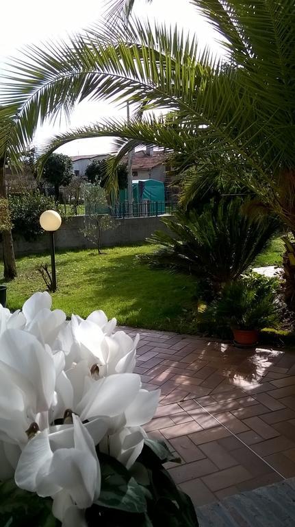 B&B La Cascina Concordia Sagittaria Экстерьер фото